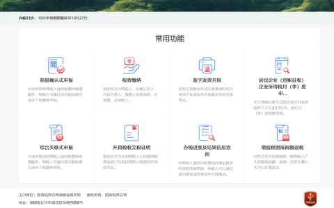 湖南个体户小规模发票开具报税方式网址  及报税相关问题汇总