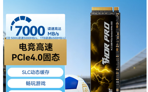 雷克沙（Lexar） 雷神PRO PCle4.0/5.0  1T SSD 7000MB/s 京东价1109，实全店现货1060元